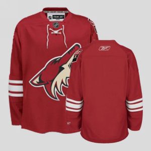 cheap kids jerseys nhl