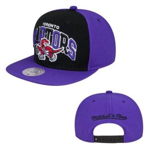 Mitchell and Ness NBA Toronto Raptors Stitched Snapback Hats 050