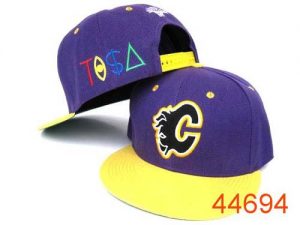 NHL Calgary Flames Stitched TISA Snapback Hats 001