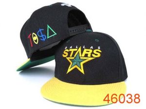 NHL Dallas Stars Stitched TISA Snapback Hats 002