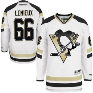 Penguins #66 Mario Lemieux White 2014 Stadium Series Stitched NHL Jersey